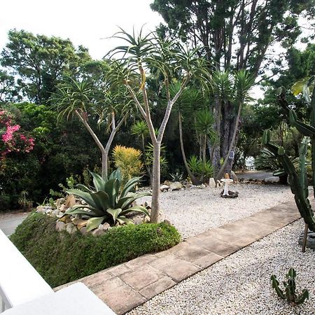 South Villa Guesthouse&Garden Knysna Eksteriør bilde